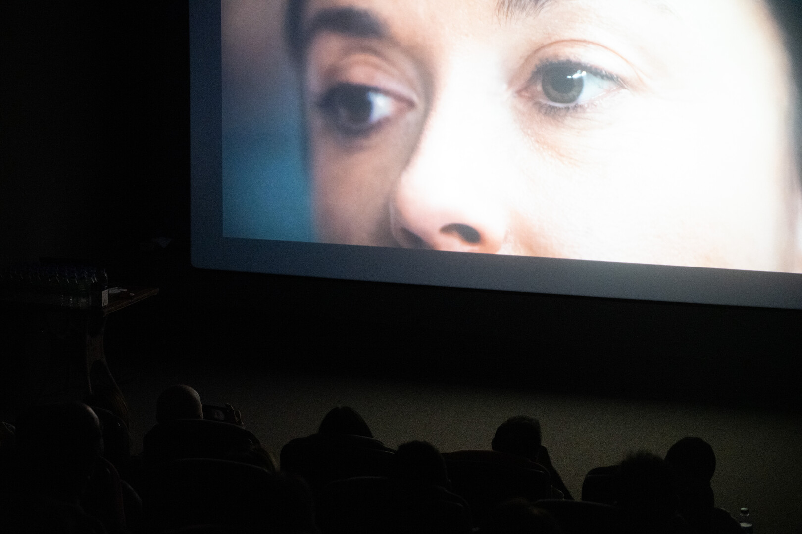 An audience watches For All I Know projected on a cinema screen